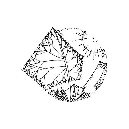 Vector grunge hand drawn landscape. Sketch lined illustrationのイラスト素材