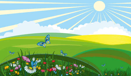 Countryside landscapeのイラスト素材