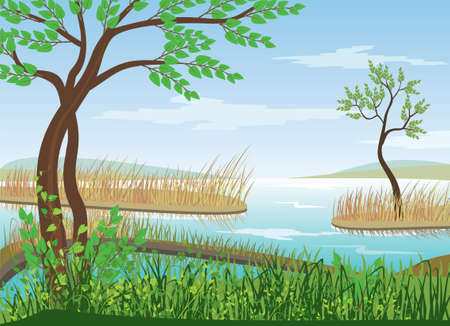  landscapeのイラスト素材