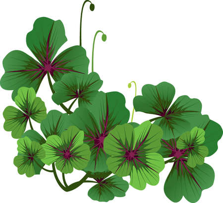 Clover cornerのイラスト素材