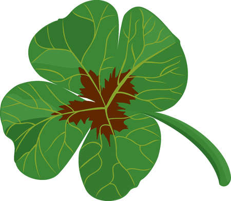 Clover leafのイラスト素材