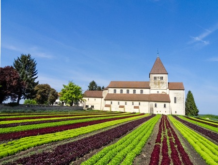 Lettuce field and monastery. Rows of different sorts of lettuce.の写真素材