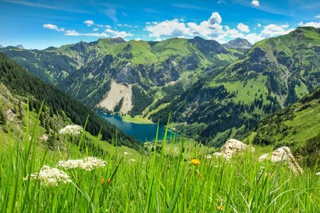 View from alpine meadow to lake and mountains. spring summerの写真素材