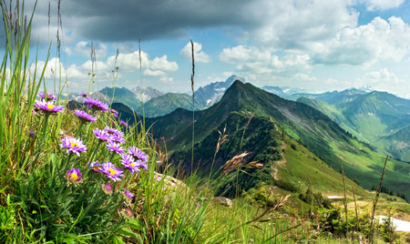Great clear view from high mountain with flowers in foreground.の写真素材