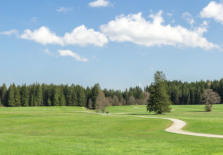 Sidled hiking and cycling track across grass field.の写真素材