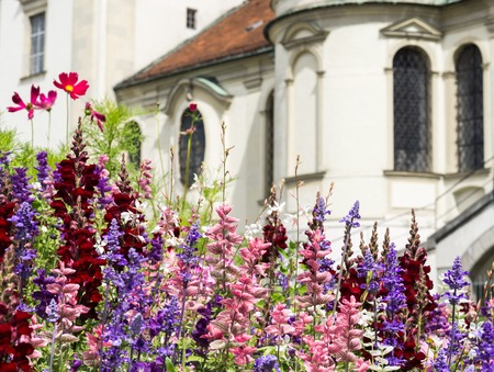 Greeting Card with colorful flower and church. Beautiful summer flowers.の写真素材