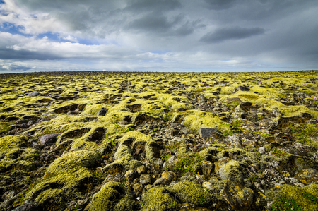Moss covered landscape with far view to horizon and clouds.の写真素材