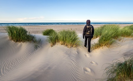Woman hiking in windy coastal dune grass towards beach of North Sea.