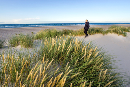 Young woman hiking in coastal dune grass at beach of North Sea.の写真素材