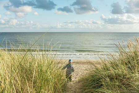 Little 2 year old Boy walking on sand dune path with marram grass to ocean beach. Hvidbjerg Strand,...
