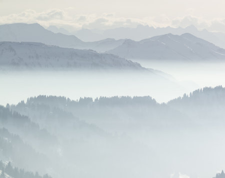 Snow Mountains in low lying inversion valley fog. Silhouettes of foggy Mountains and trees. Scenic snowy winter landscape. View from Stuiben Swiss Alps, Allgau, Bavaria, Germany.の写真素材