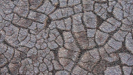 Realistic Illustration of Cracked Mud Soil with stones  by Lack of Water