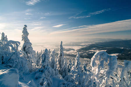 Frozen Sunsetの写真素材