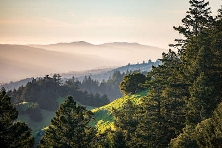 Panorama of green hills and pine trees with for and mountains in distance.