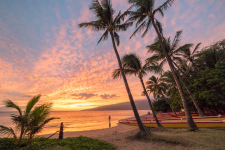 Sunset on Maui along the palm lined beachの写真素材