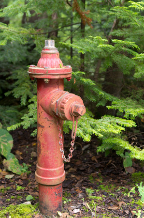 An old red fire hydrant in a rural setting.の写真素材
