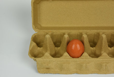 A single egg in carton package isolated on a white background . an egg in carton packaging.の写真素材