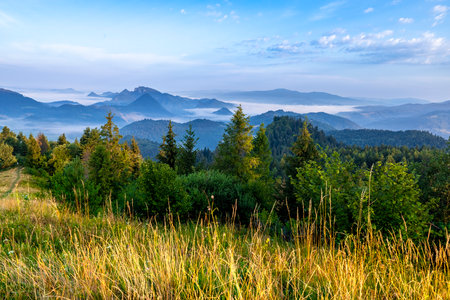 Green meadow and forest on the hill at sunrise, mountains in the background. No people, clear sky, some clouds fog between mountainsの写真素材