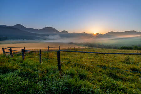 Lanscape view of yellow green meadow on the hill with old fence, rye field and mountains in the background at sunrise mountains in the background with morning fogの写真素材