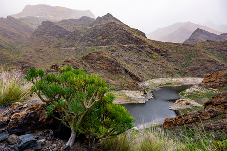 The river between two mountains on a cloudy day with low clouds. Landscape photo with no people.の写真素材