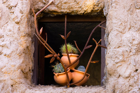 The desert blooms in pots in an old rustic window with rusty decorative bars taken on the tourist path near Barranco de Guayadeque on Gran Canariaの写真素材