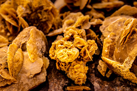 This stunning photograph captures the intricate details and rich colors of a golden brown sandrose stone. The natural stone showcases a unique combination of sedimentary layers, beautifully crafted by nature over time. The golden hues of the stone are accentuated by the soft, earthy brown tones, creating a mesmerizing display of color and texture. The sandrose stone is a true work of art, evoking a sense of wonder and appreciation for the beauty of the natural world. The photograph highlights the intricate details of the stone, inviting viewers to appreciate the fine craftsmanship of Mother Natureの写真素材