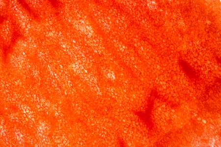 A tantalizing macro shot showcasing a juicy slice of watermelon with its vibrant red flesh, enticing and refreshingの写真素材
