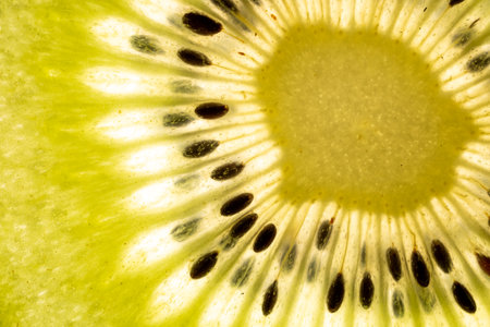 A mesmerizing macro shot of a backlit kiwi slice, radiating with vibrant colors and captivating detailsの写真素材