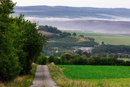 This photograph captures an old, winding country road in the Czech Moravian region. The road descends gently towards a small town visible in the distance. From the hills beyond the town, a morning mist gracefully descends, adding an element of mystery to the sceneの写真素材