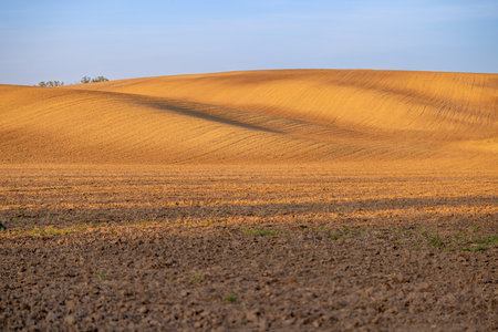 This captivating photograph captures the essence of Moravian fields, revealing a rolling expansion of golden-hued terrain with intriguing textures left behind by meticulous plowing. The artistry in the patterns created by the farming process is a testament to the land's bounty and the meticulous care of the farmers who tend to itの写真素材
