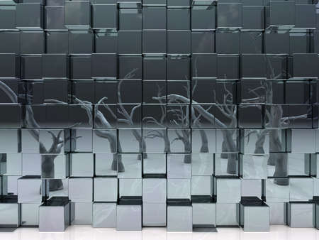 mirror cubes and abstract trees - 3d renderingの写真素材