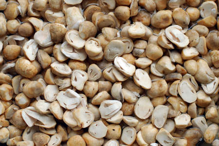 Mushrooms cutの写真素材