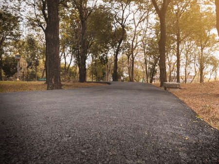 dramatic cloes up asphalt path way in fall autumn public park with warm light for background , relax...