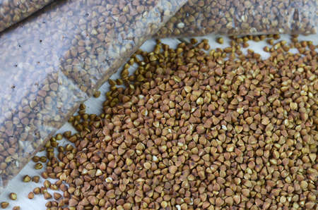 buckwheat groats loose and packedの写真素材