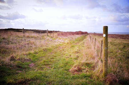 Country road along the fenceの写真素材