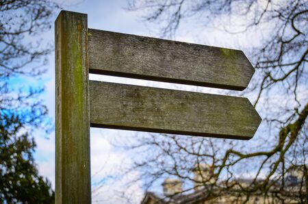 Wooden arrow sign post or road signpost  on forest backgroundの写真素材