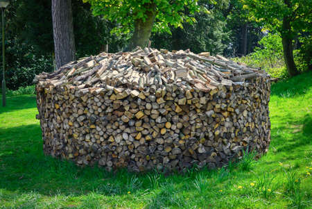 Round stack of wooden logs in forestの写真素材