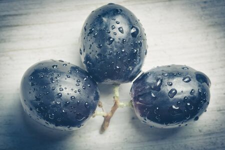 A three of dark grapes on a white  background with vintage and vignette effectの写真素材