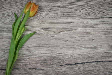 Frame of tulips on rustic wooden background. Valentine's Day and Mother's Day background.の写真素材
