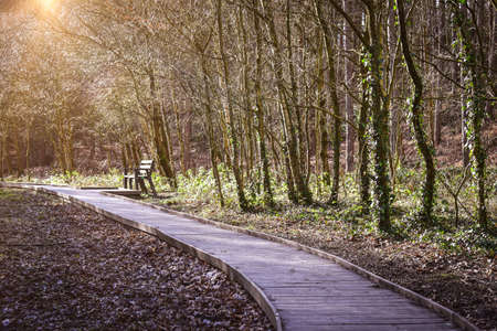 Newmillerdam Park and Lake area near Wakefield Englandの写真素材