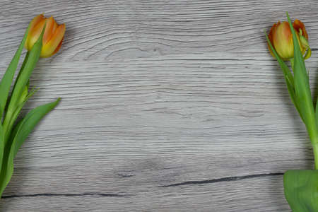 Frame of tulips on rustic wooden background. Valentine's Day and Mother's Day background.の写真素材