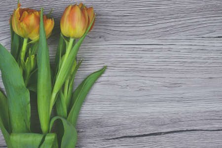Frame of tulips on rustic wooden background. Valentine's Day and Mother's Day background.の写真素材