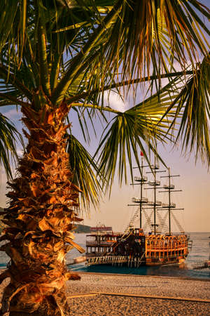 Palm tree on the beach in Olunediz-Turkey against boatsの写真素材
