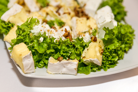 Cheese plate with various different kind of cheeses served on the table at the restaurant. Shallow  focus.の写真素材