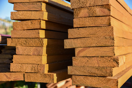 Selection of timber material - planks freshly sawnの写真素材