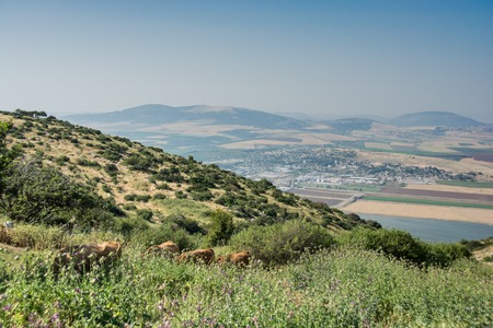 Gilboa ridge. View on valleyの写真素材