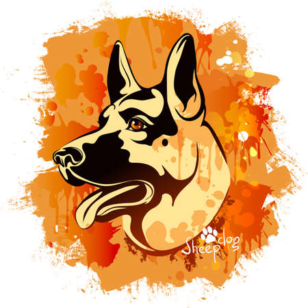 vector illustration, watercolor drawing of a head of a dog of the breed of a Sheepdog on a colored backgroundのイラスト素材
