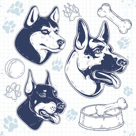 set guard dog breeds, silhouette dog head, shepherd, husky, Dobermanのイラスト素材