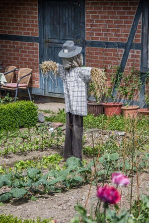Farmhouse with vegetable garden and scarecrowの写真素材