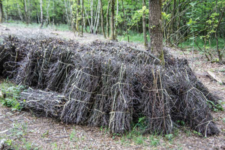 Pile of brushwood piled up in the forest